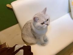 -小时光咖啡馆(北锣鼓巷店)