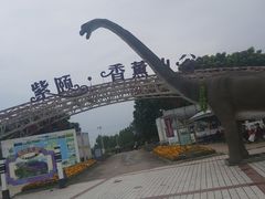 -紫颐香薰山谷景区