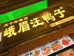 -峨眉汪鸭子·甜皮鸭烟熏鸭(白龙北路店)