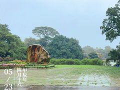 -中国科学院华南植物园