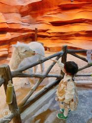 -酷嗒动物文化乐园(cutezoo西溪乐天城店)