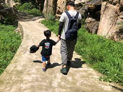 -碓臼峪自然风景区