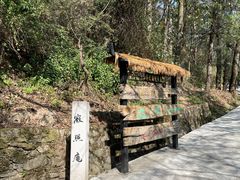 -寂照庵