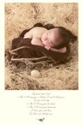 -华婴阳光孕婴童用品店(建设大街店)