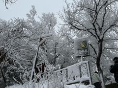 -紫金山山顶公园