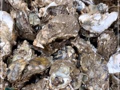 -蚝哥花姐湛江烤生蚝(美丽湾市场店)