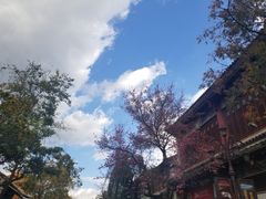 -飘香酒馆·私房菜