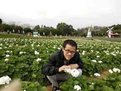 -松山湖梦幻百花洲