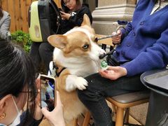 -星巴克(苏州张家港中昊檀宫店)