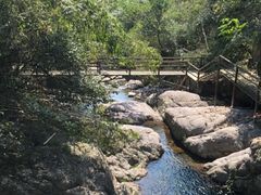 -东天目山风景区