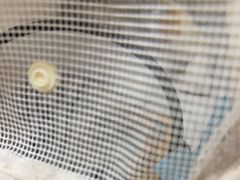 -御宝贝24h宠物医院·转诊中心·CT核磁血透中心(厦门总院)