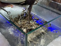 -悦橙烤肉海鲜自助(中央大街店)