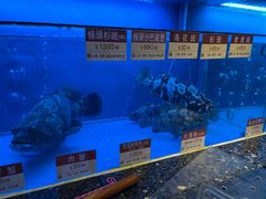 -协成海鲜火锅(海洋花园店)