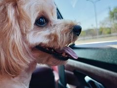 -酷宠动物医院(天通西苑店)