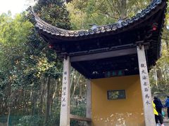 -灵岩山风景区