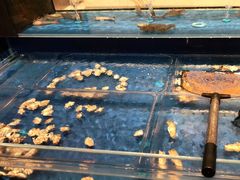 -常德武陵天济喜来登酒店-盛宴餐厅