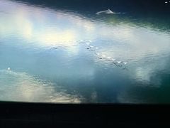 -中国杭州低碳科技馆