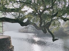 -上坦村