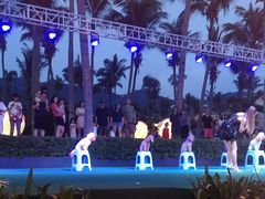 -渔家火锅·海鲜自助餐·演艺(亚龙湾天域酒店)