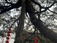 -红螺寺