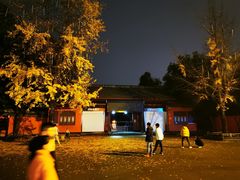 -安仁古镇