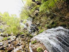 -藏龙百瀑风景区