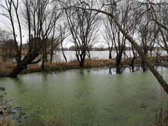 -长兴太湖图影湿地文化园