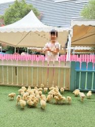 -萌宠亲子动物乐园(槐房万达店)