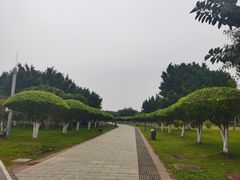 -万绿园