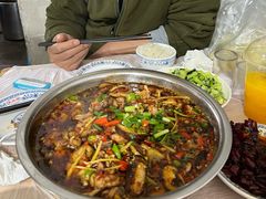 双椒兔-食神又名厕所兔
