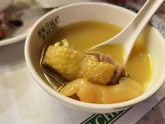 -禄婶鸡煲·打边炉