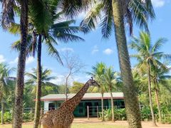 -海南热带野生动植物园