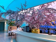 -花开餐厅(环湖中路店)