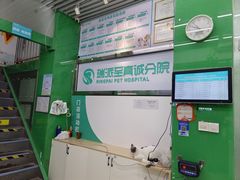 -瑞派动物医院·猫专科·至诚(江南中分院)