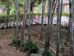 -故乡缘·香格里拉山庄(冷竹路店)