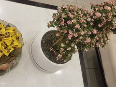 -正清和·推拿养生(二七广场店)