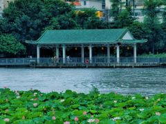 -荔湾湖公园