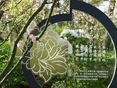 -秋霞圃