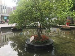 -海上海弘基休闲广场