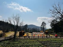 -塔川景区