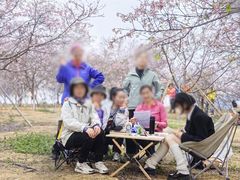 -天适樱花悠乐园