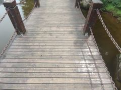 -重庆彩云湖湿地公园