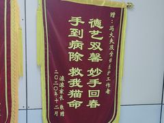 -中农国际动物医院24小时·猫科·骨科·急重症中心