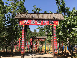 -窦王岭景区游乐场
