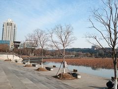 -月湖风景区