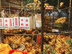-荔城生鲜盛宴(番禺旗舰店)