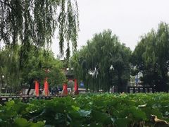 -四川大学(望江校区)