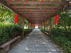 -白马涧龙池景区