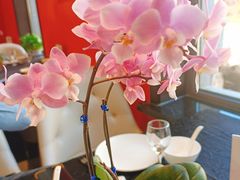 -正德楼果木烤鸭·渔家菜(东港店)