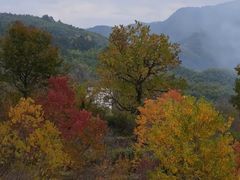 -塔川景区